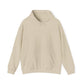 Summit Sport Supply Hoodie